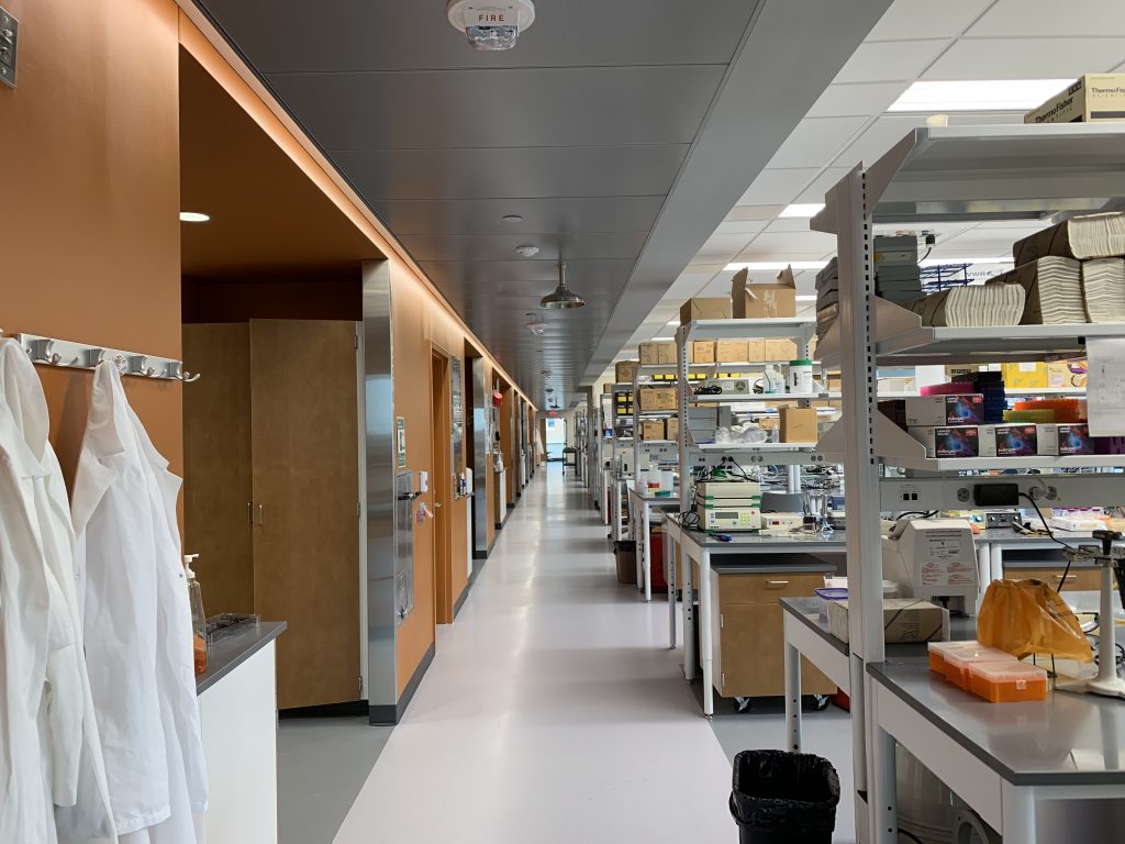 lab space with tables and white coats