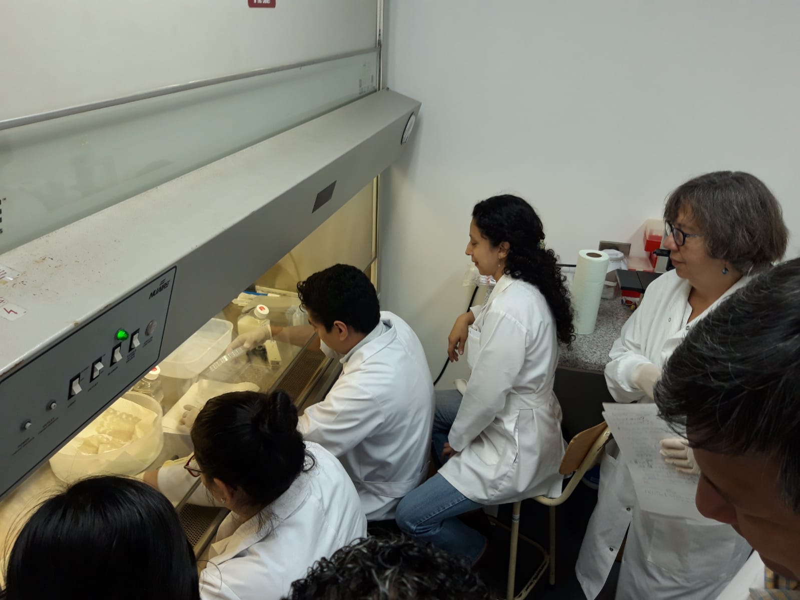 Trainees work in a lab in Nicaragua through the NEED D43 Program