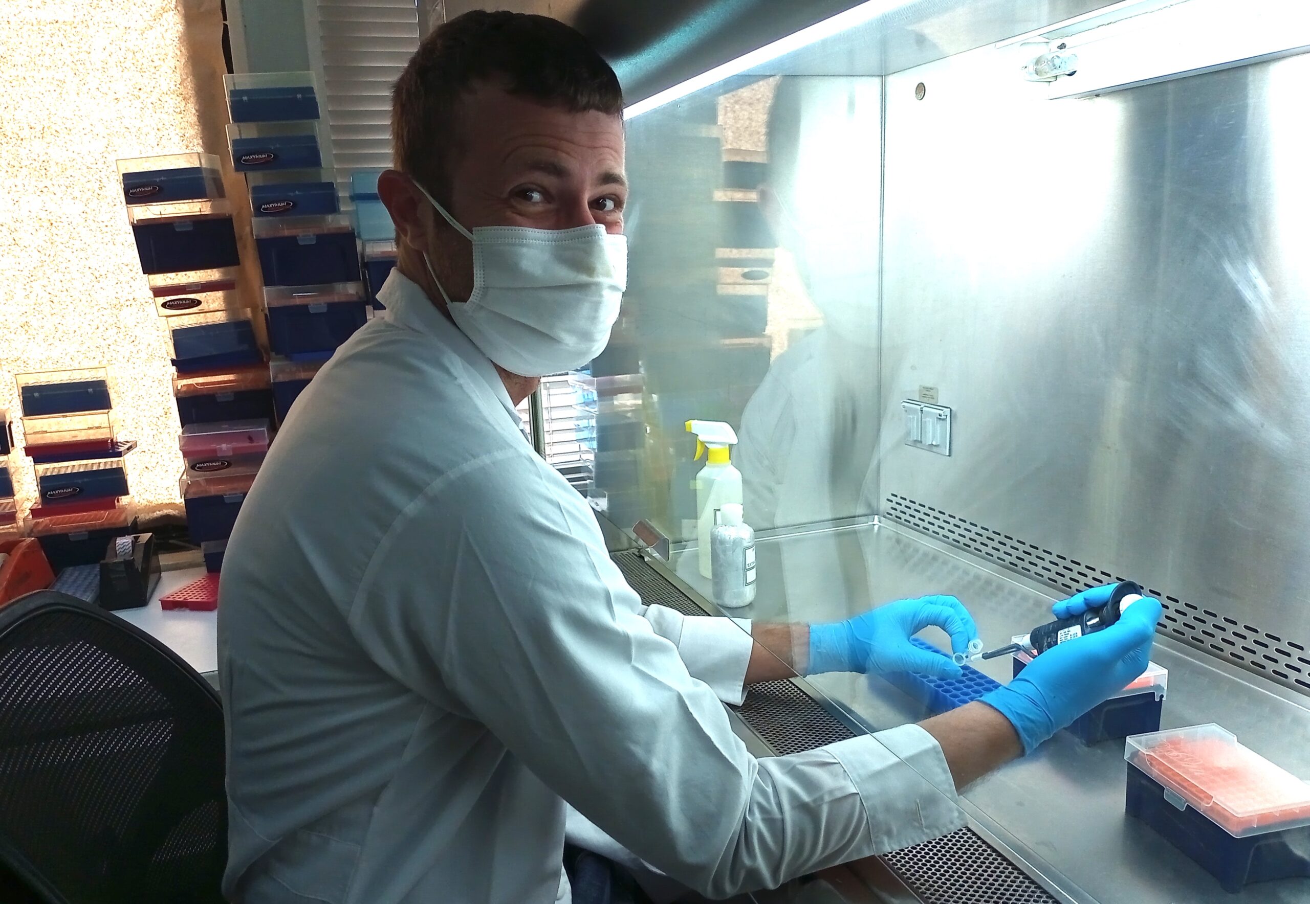 researcher with samples in lab